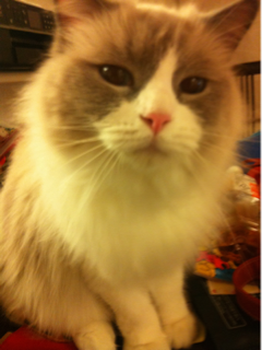 image-20120430162723.png